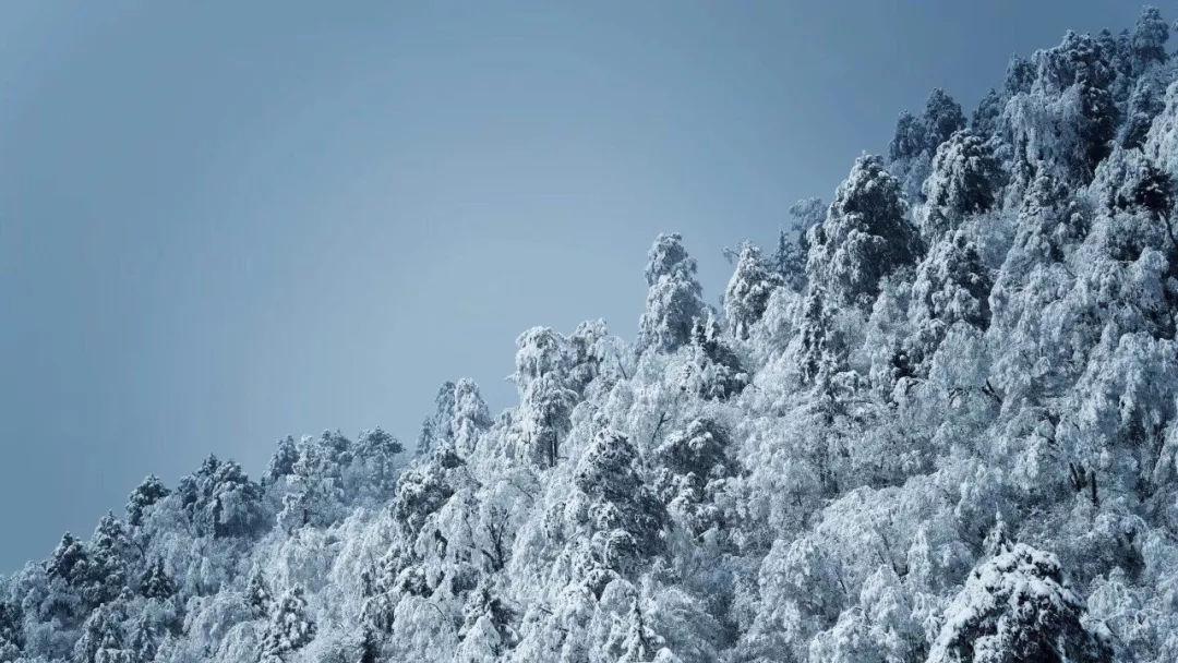 美丽乡村别墅逃生