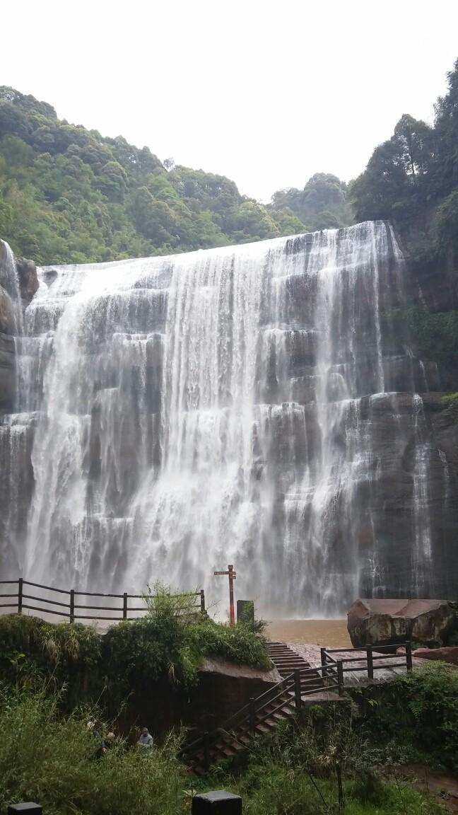 阴暗森林